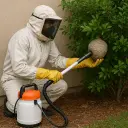 Remoção de Enxames de Marimbondos ao Nível do Solo (Sem Uso de Equipamentos)